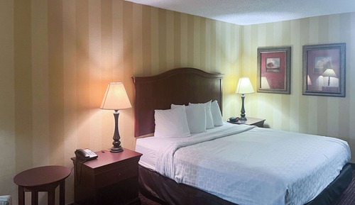 Deluxe Room, 1 King Bed, Non Smoking, Refrigerator & Microwave