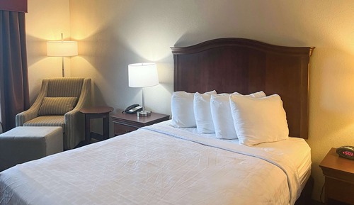 Deluxe Room, 1 Queen Bed, Non Smoking, Refrigerator & Microwave