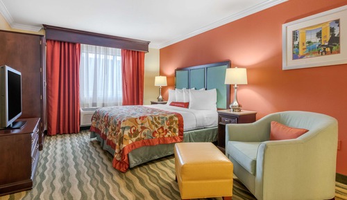 Standard Room, 1 King Bed, Non Smoking, Refrigerator & Microwave (Shower Only)