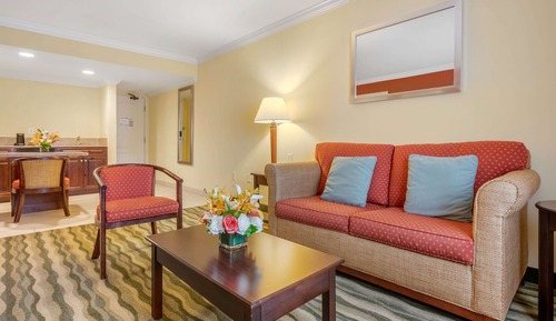 Suite, 1 King Bed, Non Smoking, Kitchen (Shower Only;with Sofabed)