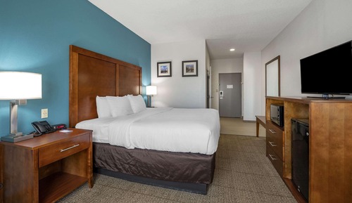 Standard Room, 1 King Bed, Non Smoking