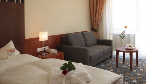 Superior Single Room