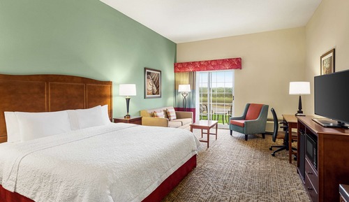 Room, 1 King Bed, Accessible, Non Smoking