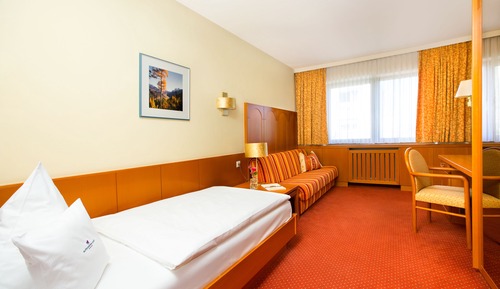 Superior Single Room