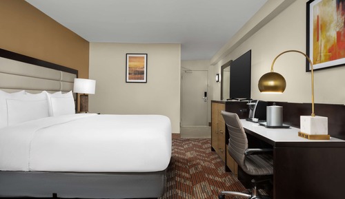 Room, 1 King Bed