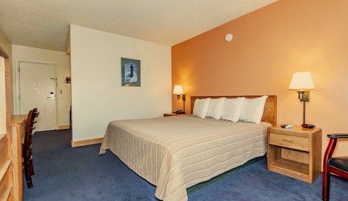 Room, 1 King Bed, Non Smoking