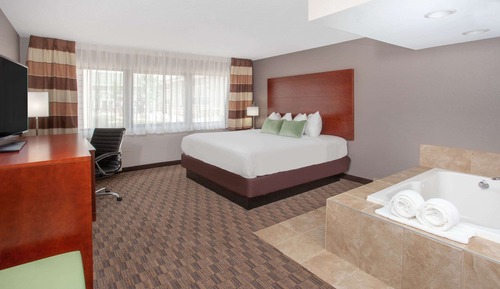Room, 1 King Bed, Non Smoking, Jetted Tub