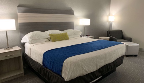 Suite, 1 King Bed, Non Smoking, Kitchenette (with Sofabed)