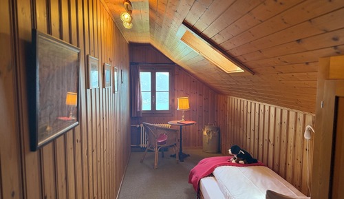 Basic Single Room, Ensuite, Lake View