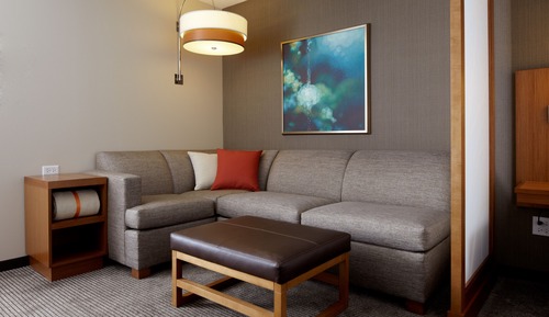 Room, 1 King Bed with Sofa bed, Accessible (Shower)
