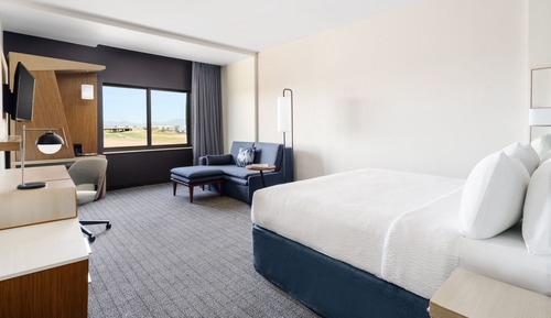 Room, 1 King Bed with Sofa bed