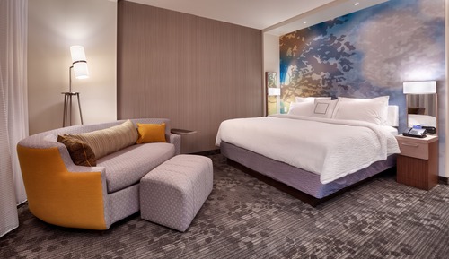 Room, 1 King Bed with Sofa bed (Hearing Accessible)