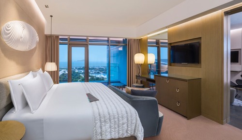 Room, 1 King Bed