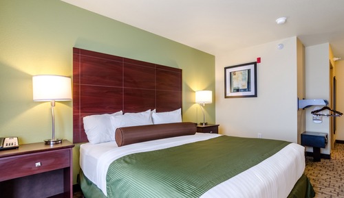 Room, 1 King Bed, Accessible, Non Smoking