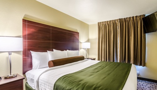Room, 1 King Bed, Non Smoking