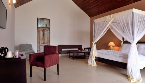 Deluxe Room, Pool View (Deluxe Pool View)