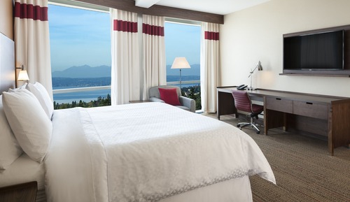 Room, 1 King Bed