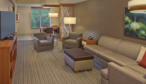 Room, 1 King Bed, Accessible