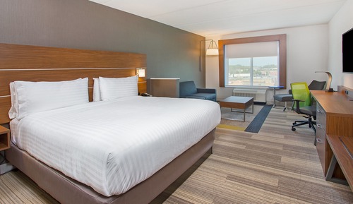 Suite, 1 King Bed with Sofa bed