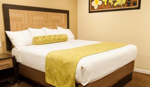 Deluxe King Room with Shower Only - Non-Smoking