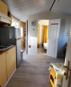 Mobile Home