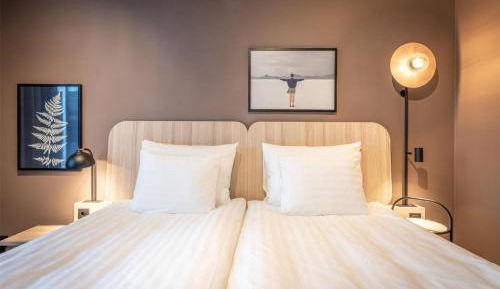 Standard King Room