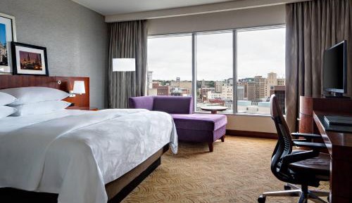 King or Queen Room with City View