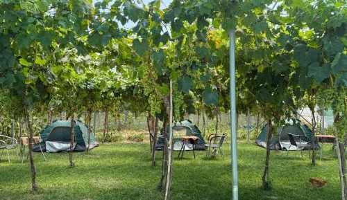 Tent