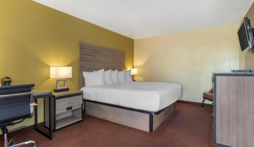 King Room with Roll-In Shower - Disability Access/Non-Smoking