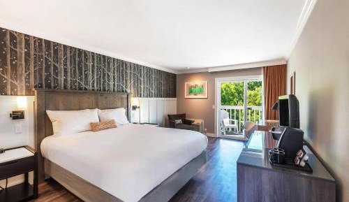 King Room with Patio - Non-Smoking
