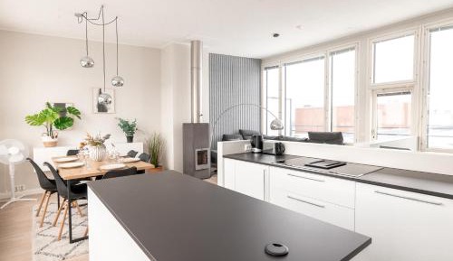 Penthouse Apartment