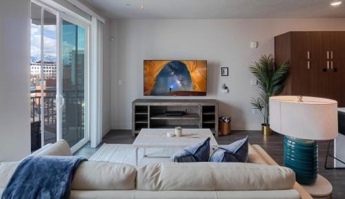 Deluxe One-Bedroom Apartment