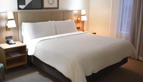 One-Bedroom Queen Suite