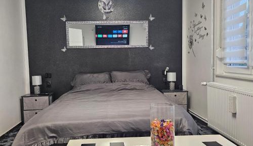 One-Bedroom Premier Apartment