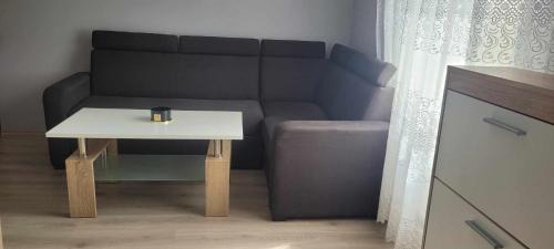 One-Bedroom Apartment with Terrace