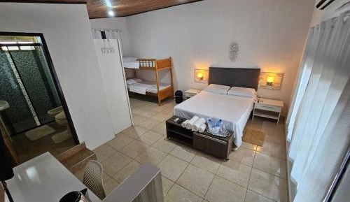 Bunk Bed in Mixed Dormitory Room