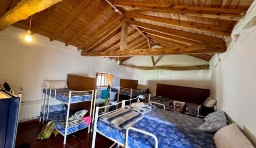 Single Bed in Dormitory Room
