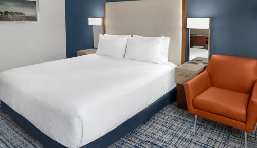 King Room with Sofa Bed and Roll-in Shower - Mobility and Hearing Accessible