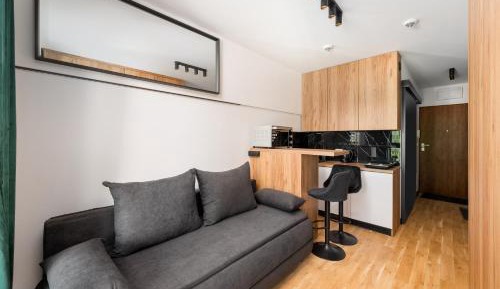 Studio with Sofa Bed without parking