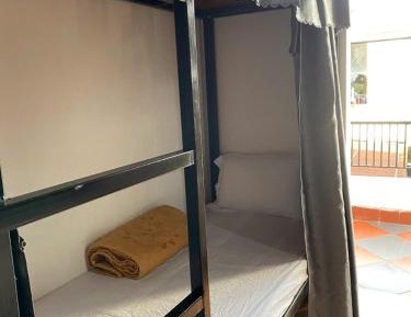Bed in 4-Bed Dormitory Room