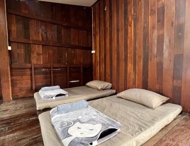 Single Bed in Mixed Dormitory Room
