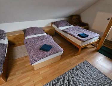 Single Bed in Dormitory Room