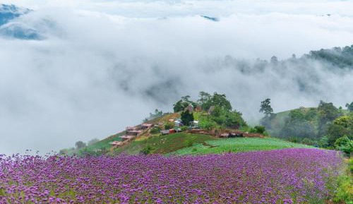 Double Room with Mountain View