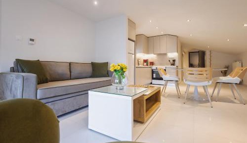 Penthouse Apartment