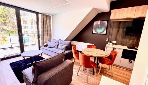 One-Bedroom Apartment with View