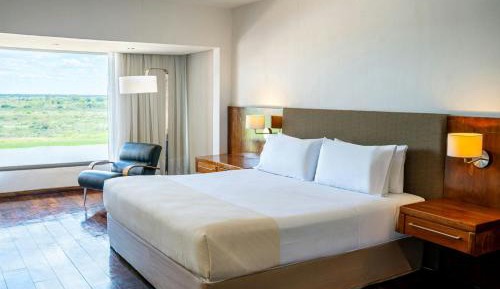 Deluxe King Room with Garden View