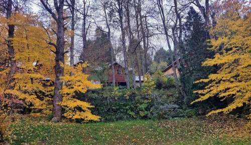 Bungalow