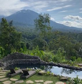 Double Room with Pool View
