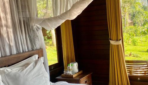 Double Room with Garden View