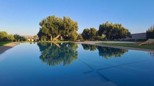 Double Room with Pool View